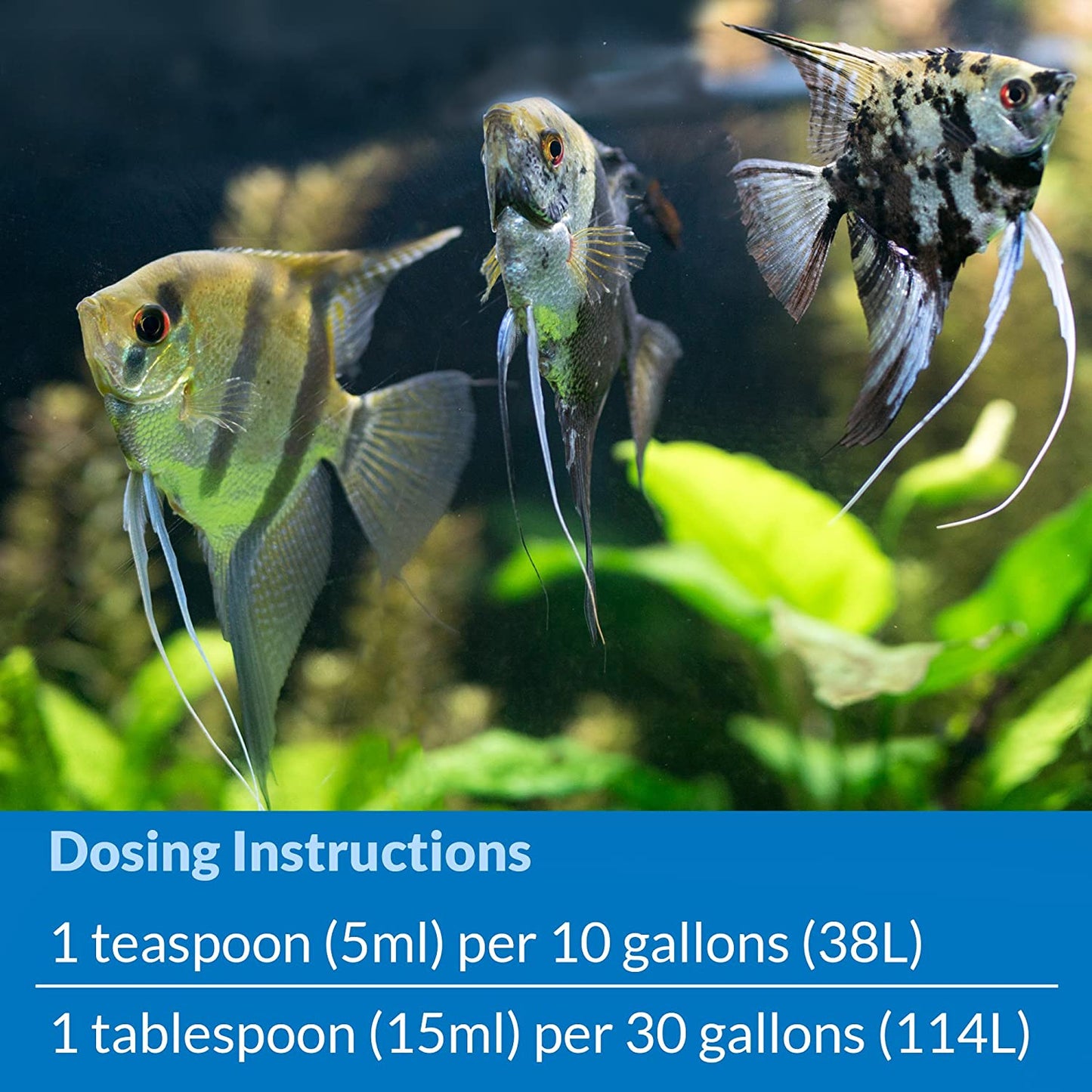 API Stress Coat + Fish and Tap Water Conditioner