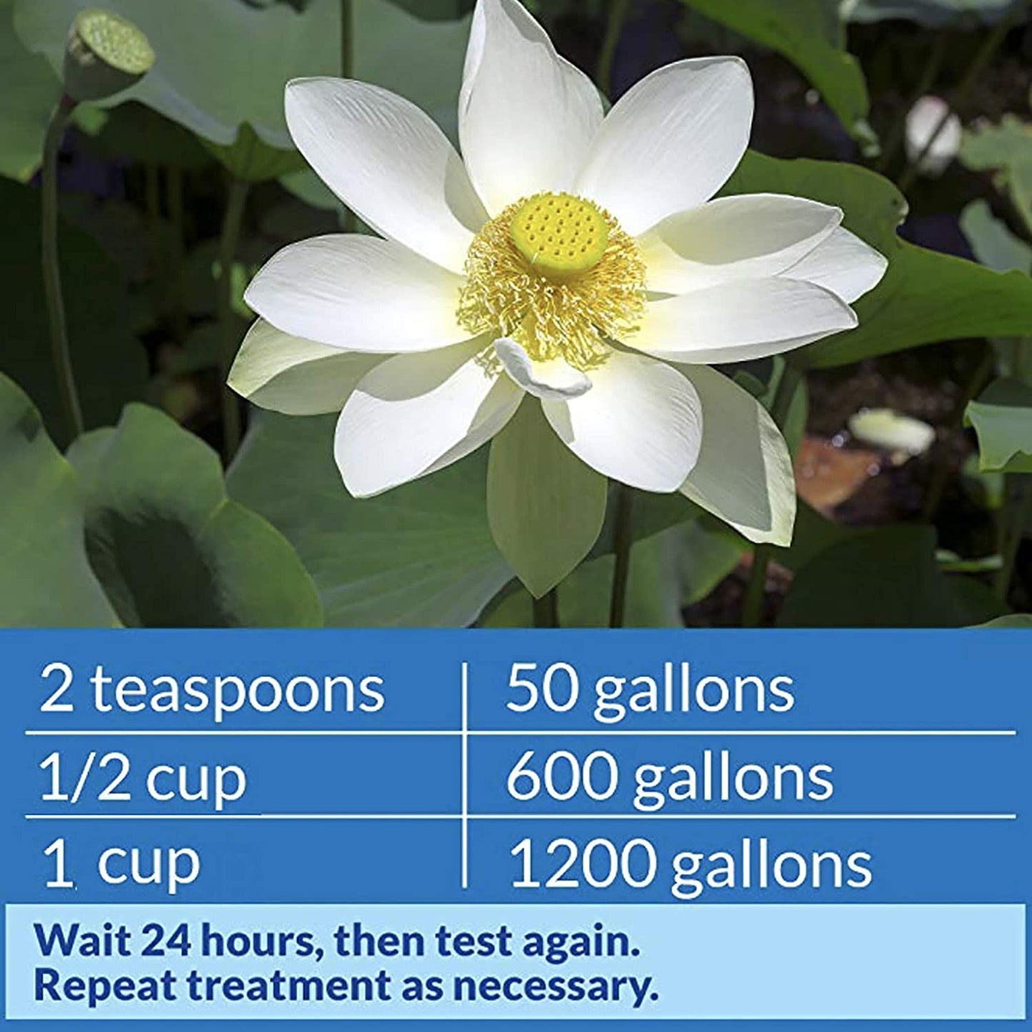 API Pond pH Up Raises Pond Water pH