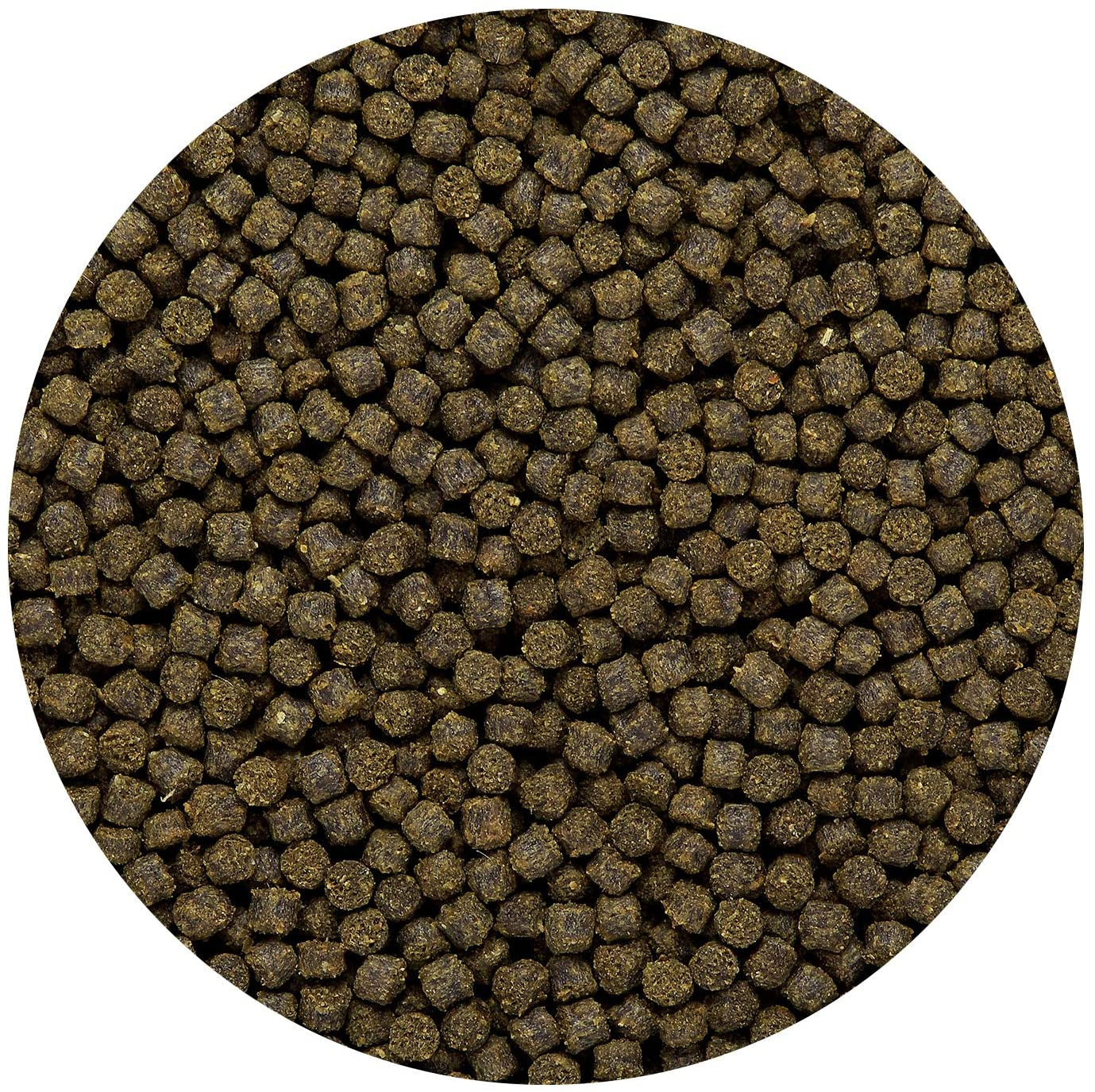 Hikari Cichlid Excel Floating Mini Pellet Food