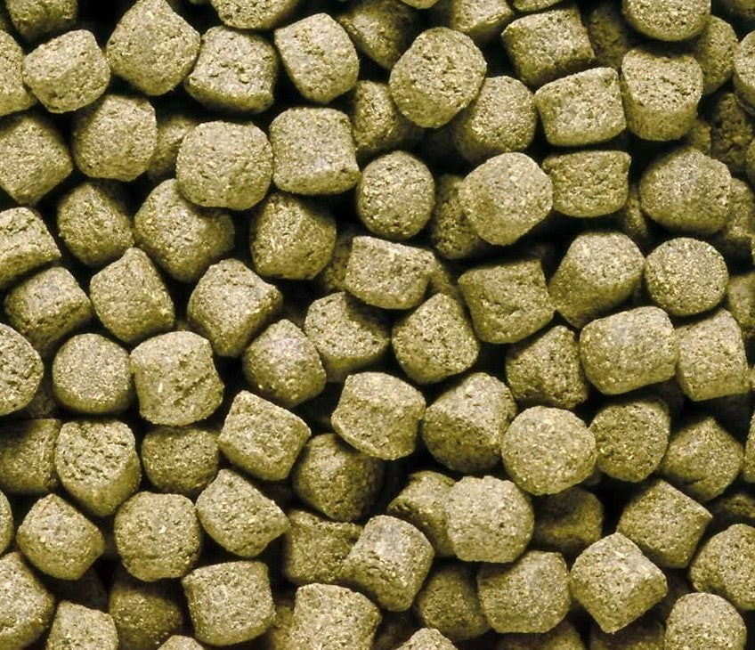 Hikari Sinking Cichlid Excel Mini Pellet Food