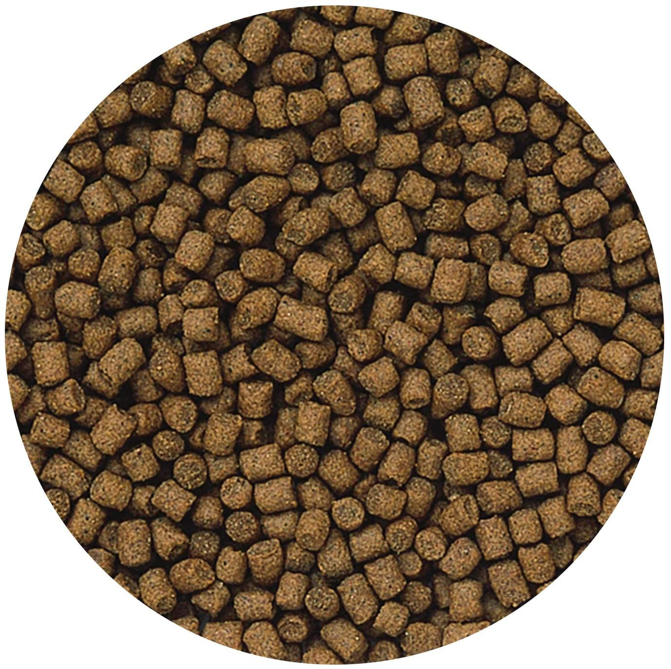 Hikari Cichlid Bio Gold+ Floating Mini Pellet Food