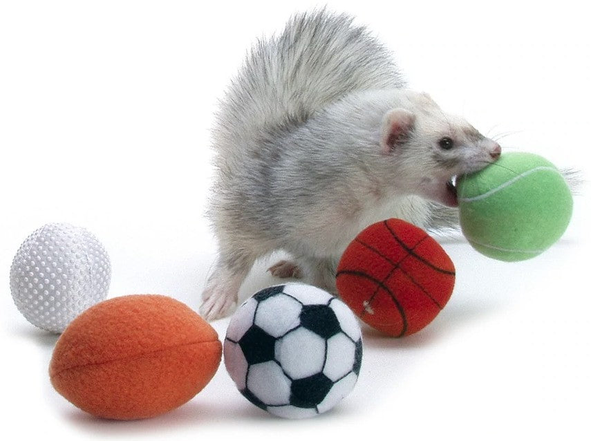 Marshall Ferret Sport Balls Assorted Styles