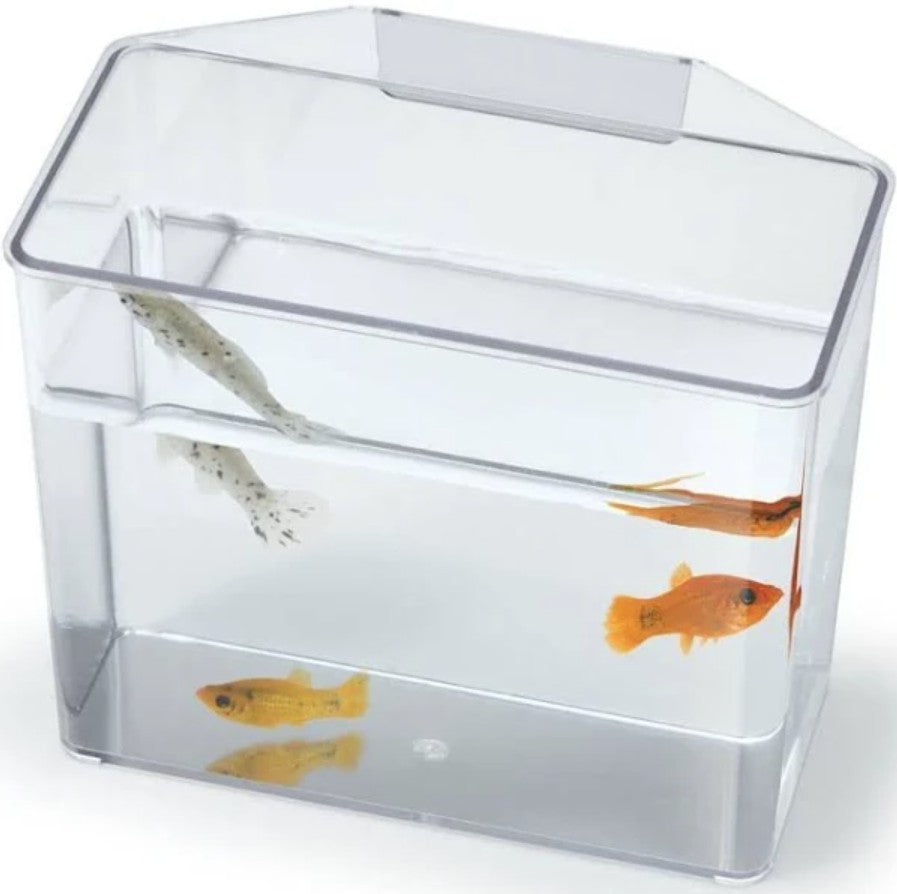 Lees Specimen Container Break Resistant