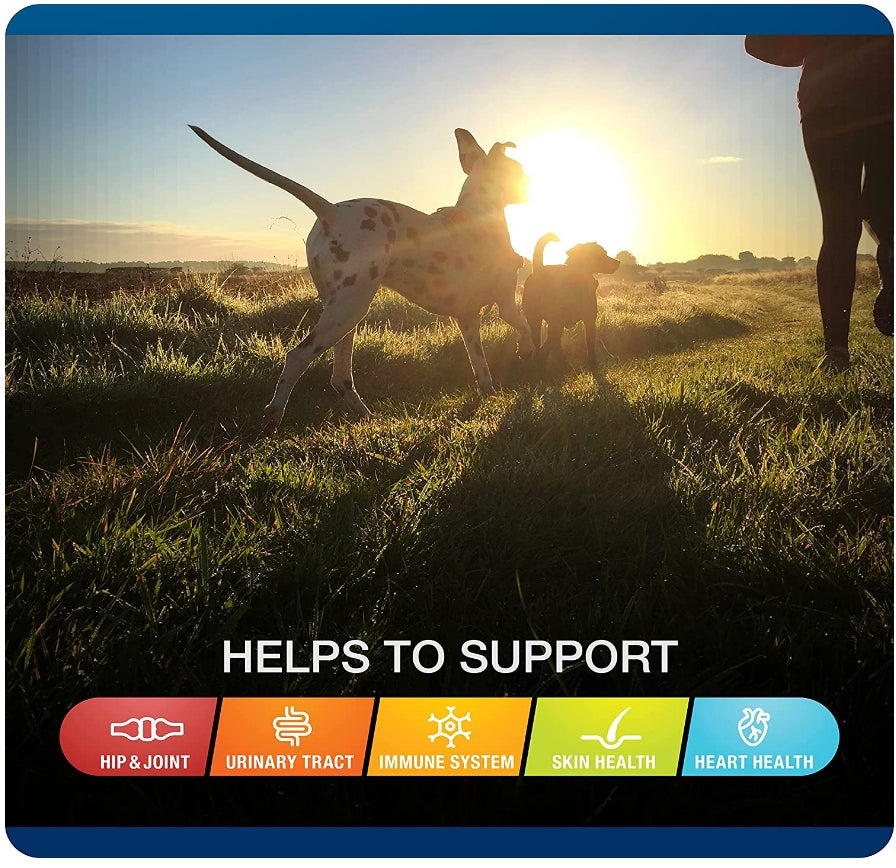 Sergeants VetIQ 5-in-One Multi-Benefit Soft Chews for Dogs