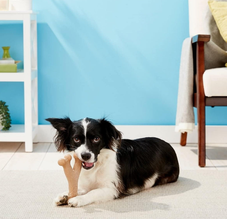 Spot Bambone Wish Bone Chicken Dog Treat Large