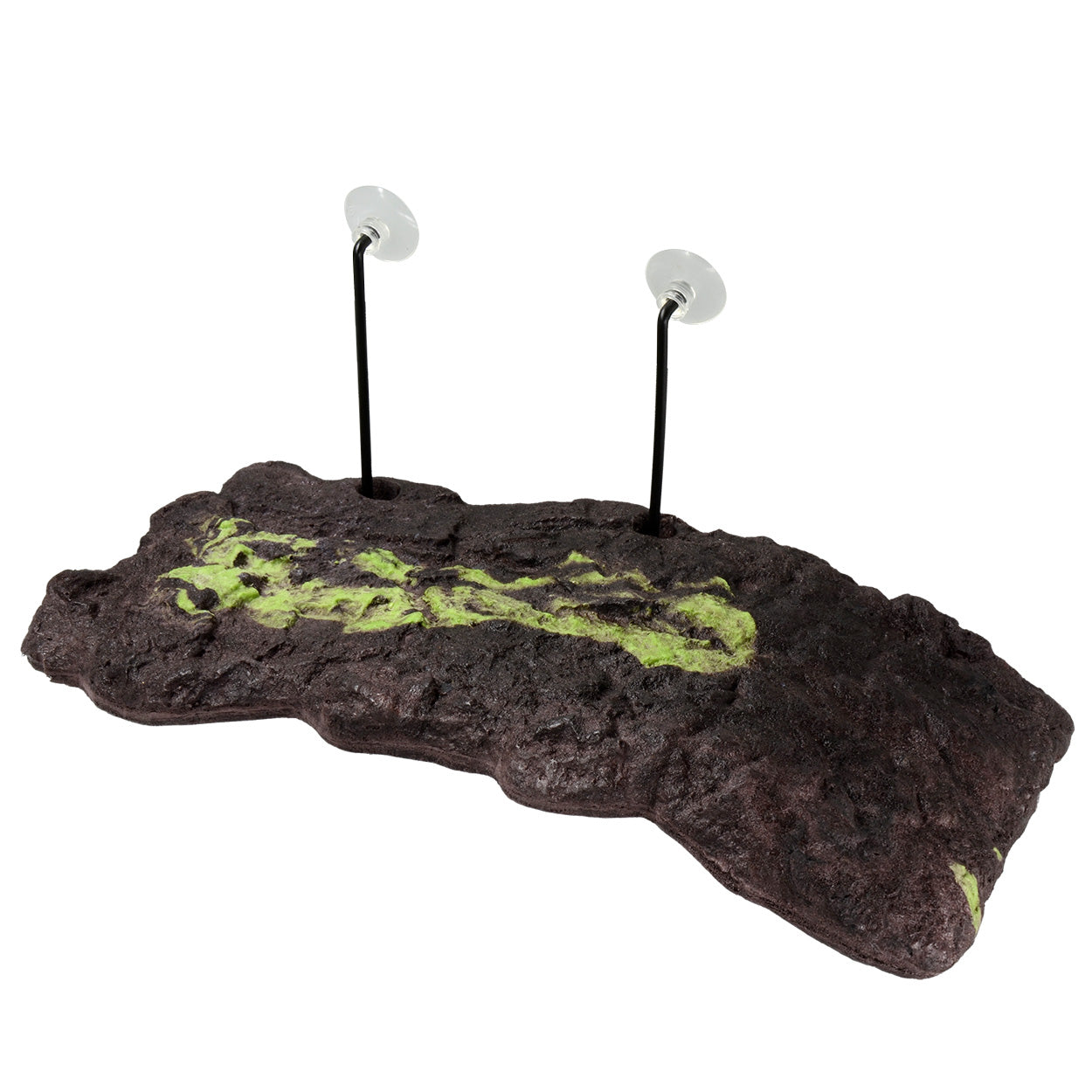 Zoo Med Floating Turtle Dock