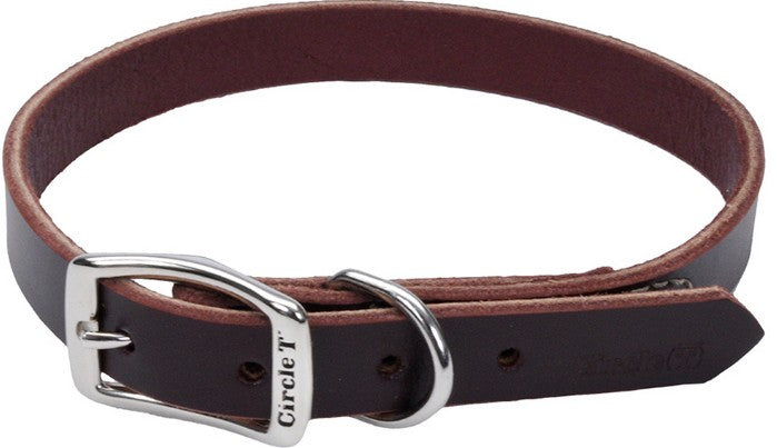 Circle T Latigo Town Dog Collar