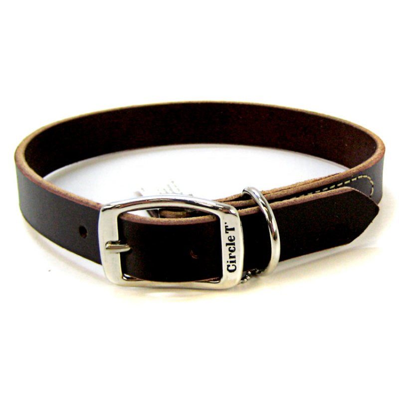 Circle T Latigo Town Dog Collar