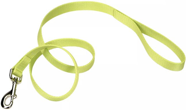 Coastal Pet Single-Ply Nylon Dog Leash Lime Green