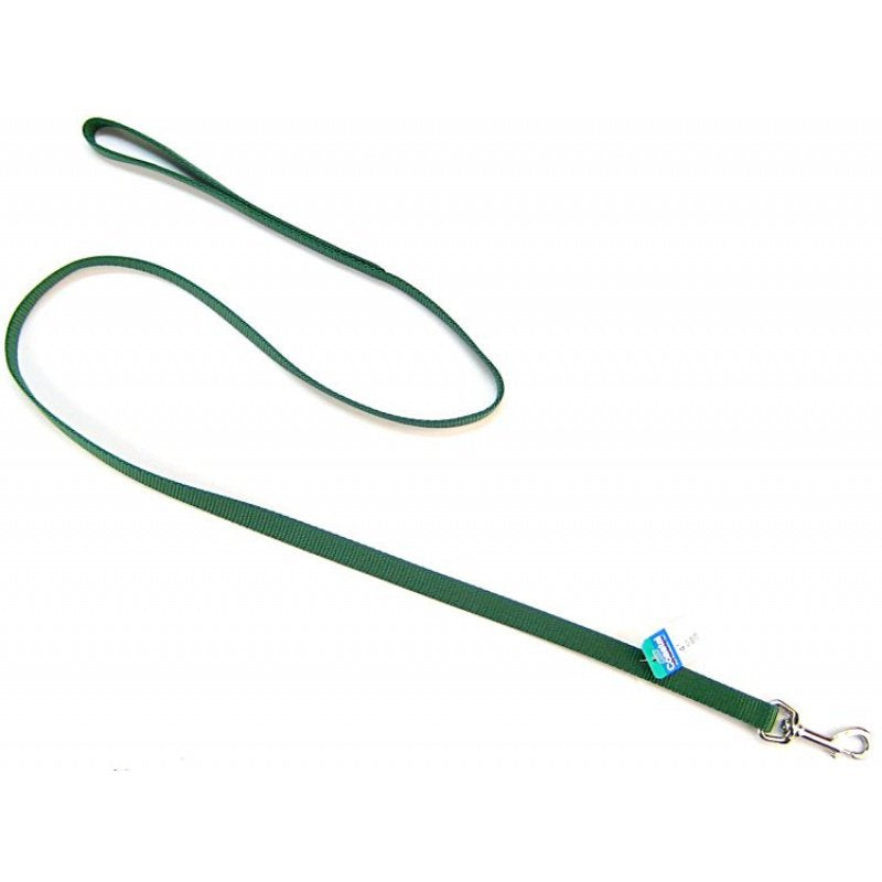 Coastal Pet Single Nylon Lead Hunter Green