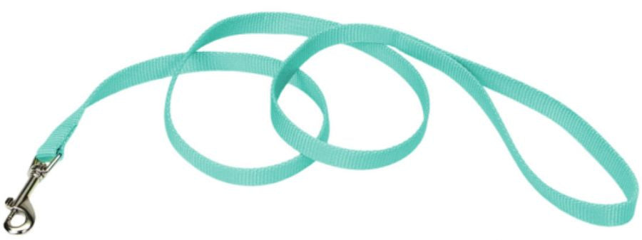 Coastal Pet Single-ply Teal Nylon Dog Lead