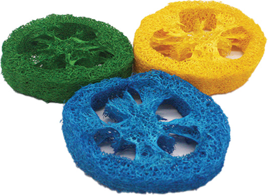 AE Cage Company Nibbles Loofah Slice Chew