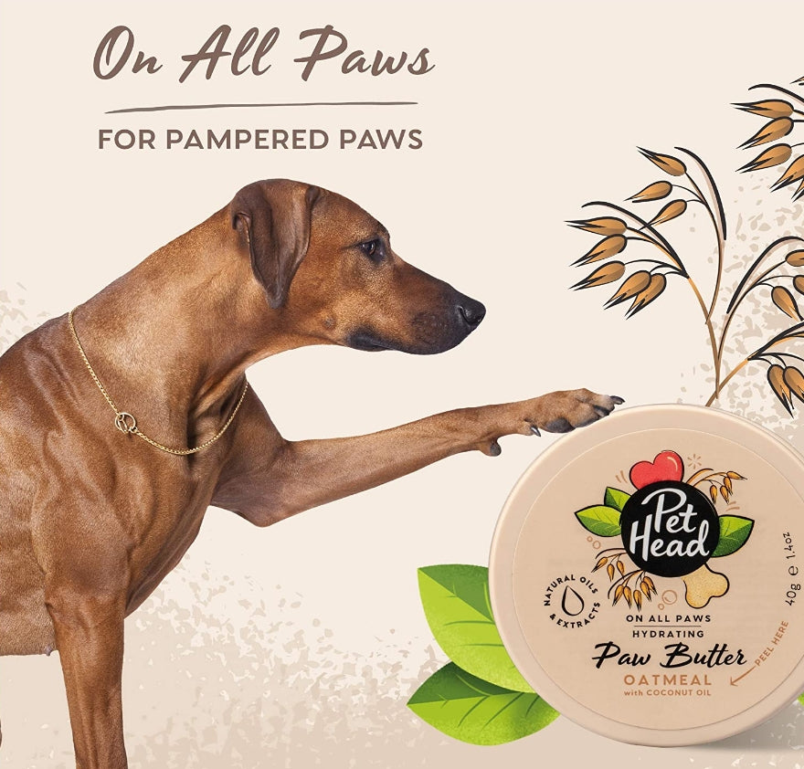 Pet Head Hydrating Paw Butter for Dogs Oatmeal with Coconut Oil