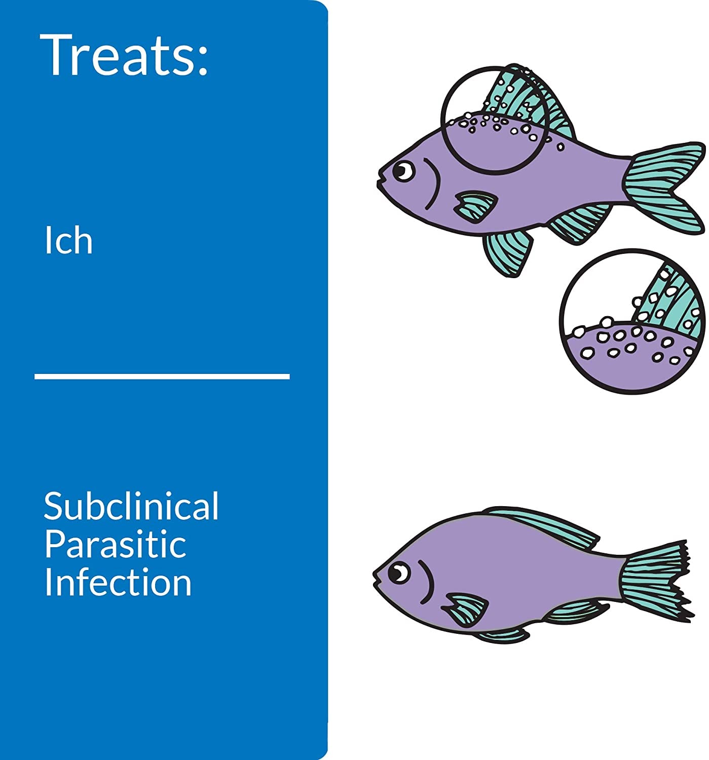 API Super Ick Cure Treats White Spot Disease