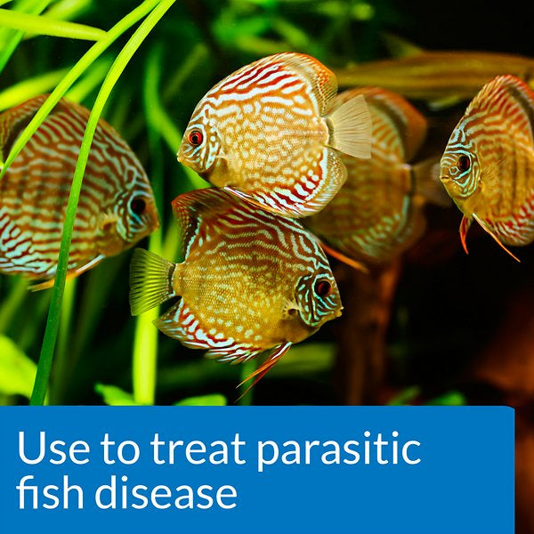 API General Cure Powder Treats Parasitic Fish Disease