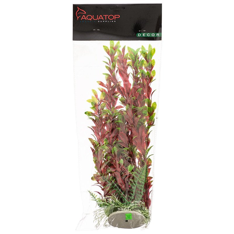 Aquatop Hygro Aquarium Plant Red and Green