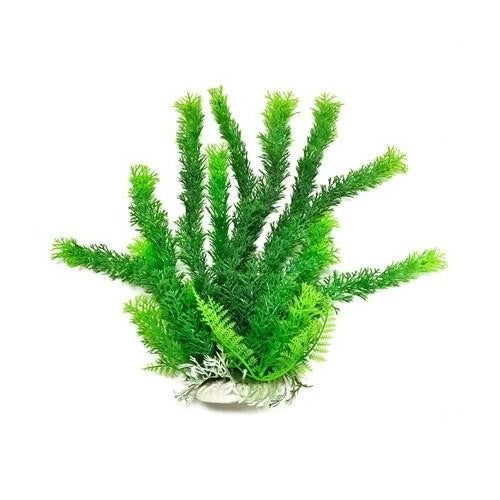 Aquatop Cabomba Aquarium Plant Green