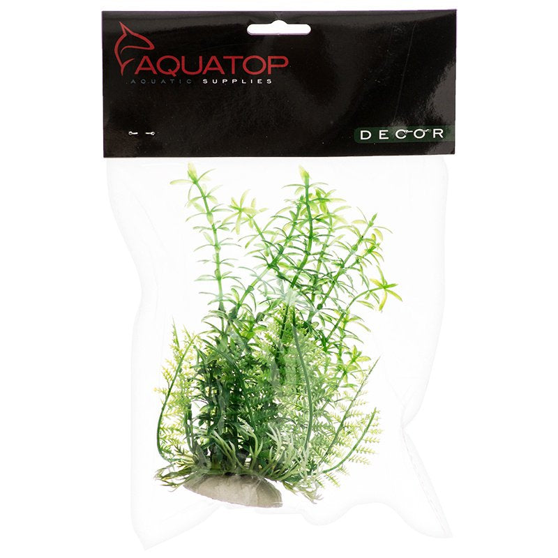 Aquatop Anacharis Aquarium Plant Green