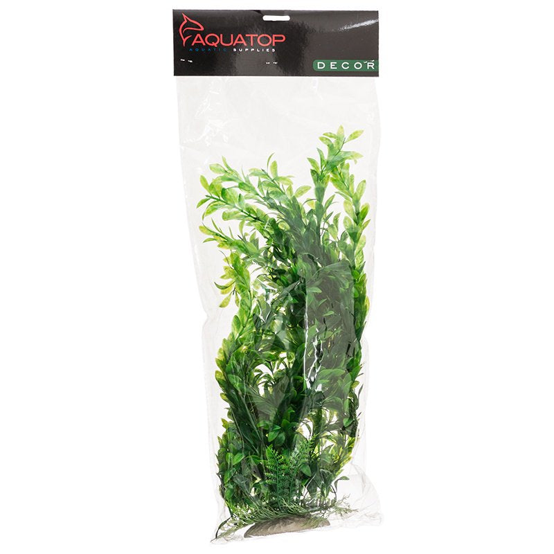 Aquatop Hygro Aquarium Plant Green