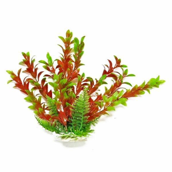 Aquatop Hygro Aquarium Plant Red and Green