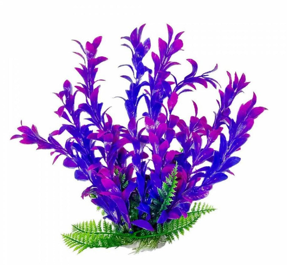 Aquatop Hygro Aquarium Plant Pink and Purple