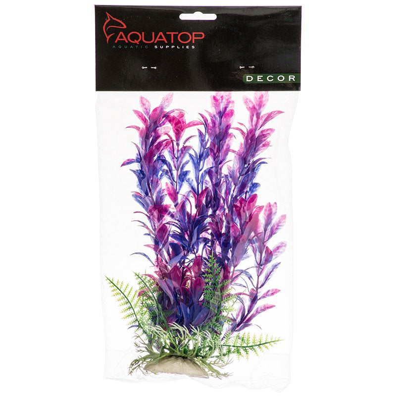 Aquatop Hygro Aquarium Plant Pink and Purple