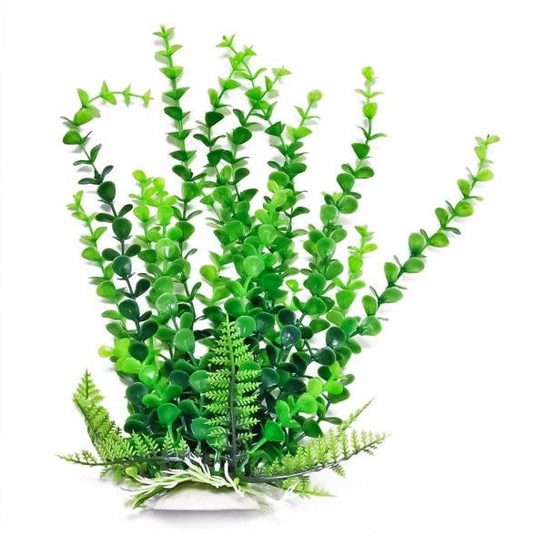 Aquatop Elodea Aquarium Plant Green