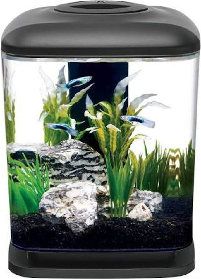 Aqueon Mini Cube Desktop Aquarium Kit 1.6 Gallon