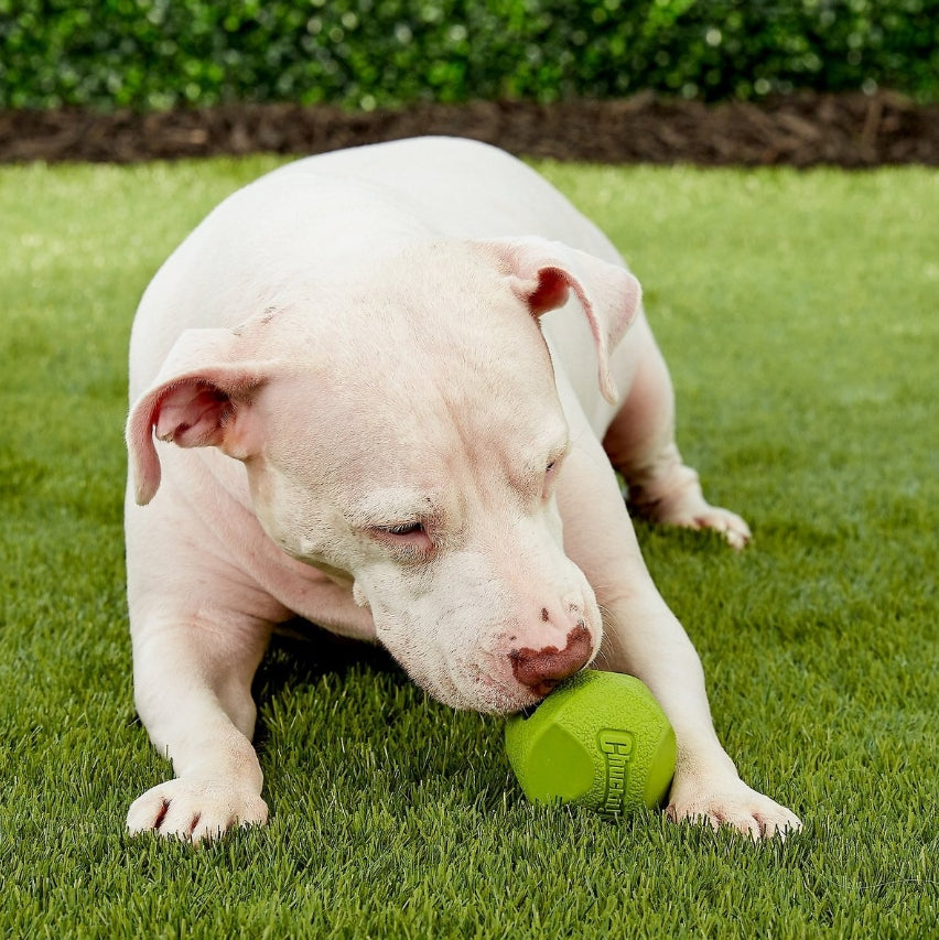 Chuckit Erratic Ball for Dogs