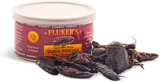 Flukers Gourmet Canned Dubia Roaches for Reptiles