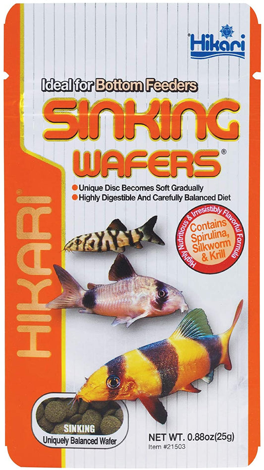 Hikari Sinking Wafers for Bottom Feeders