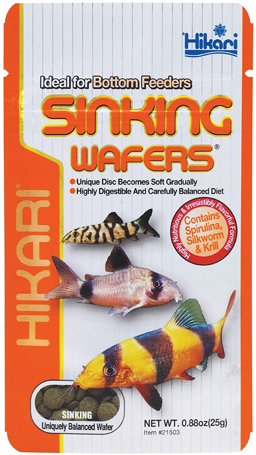 Hikari Sinking Wafers for Bottom Feeders