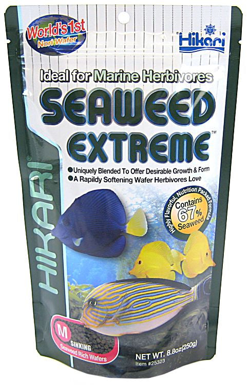 Hikari Seaweed Extreme Sinking Medium Wafer Food