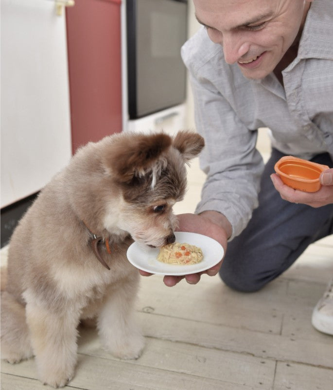 Inaba Twins Chicken with Vegetables and Tuna Recipe Side Dish for Dogs