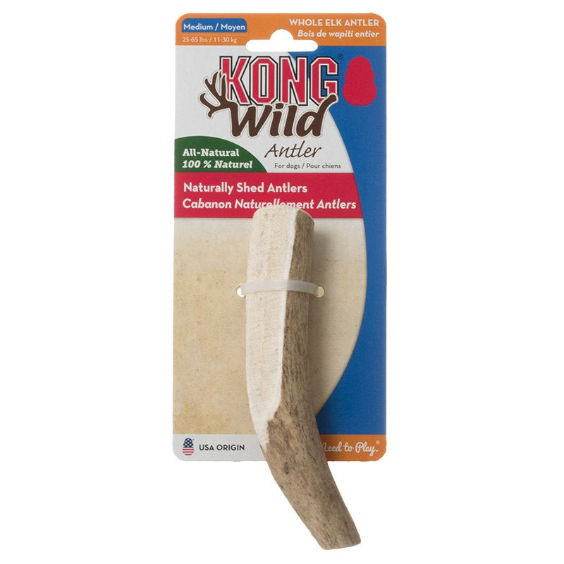 KONG Wild Whole Elk Antler for Dogs Medium