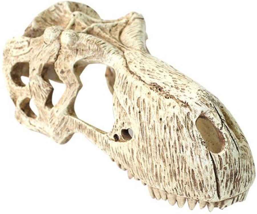 Komodo T-Rex Skull Terrarium Decoration