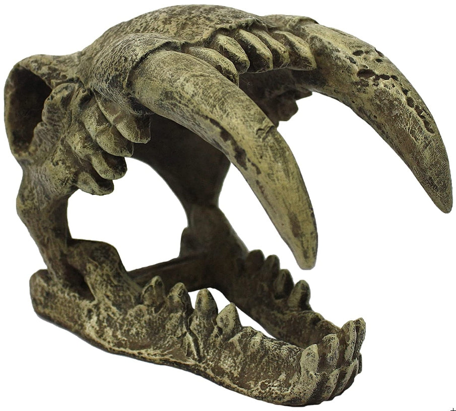 Komodo Saber Tooth Skull Terrarium Decoration