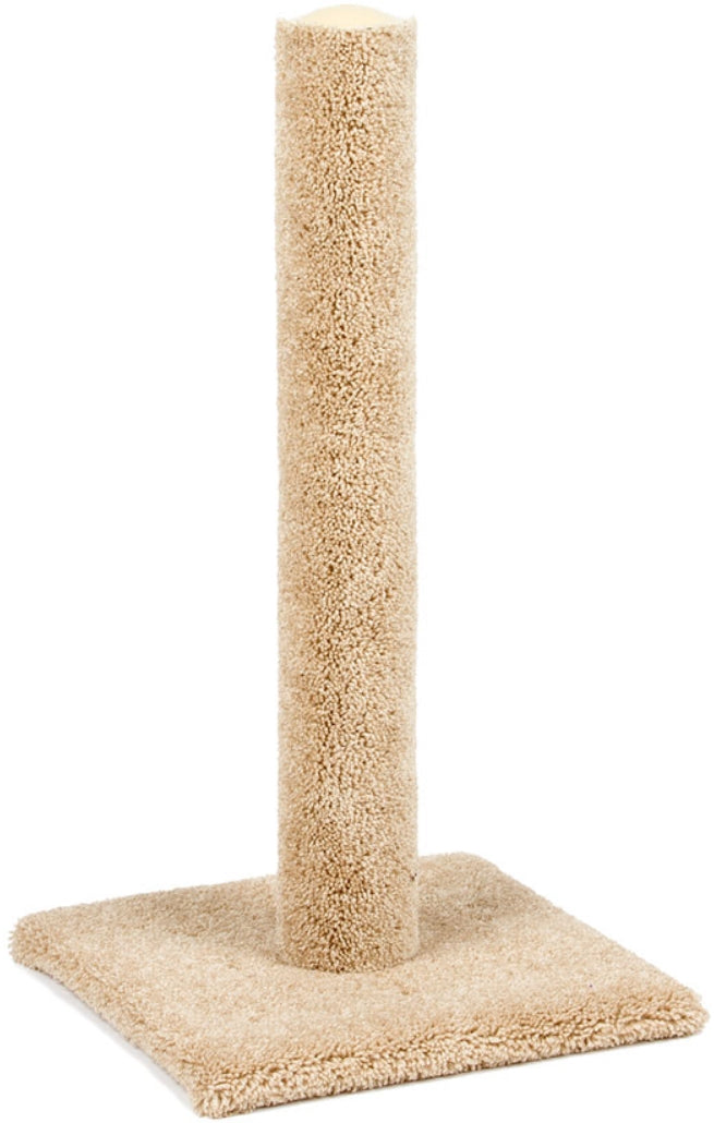 North American Urban Cat Cat Scratching Post Carpet