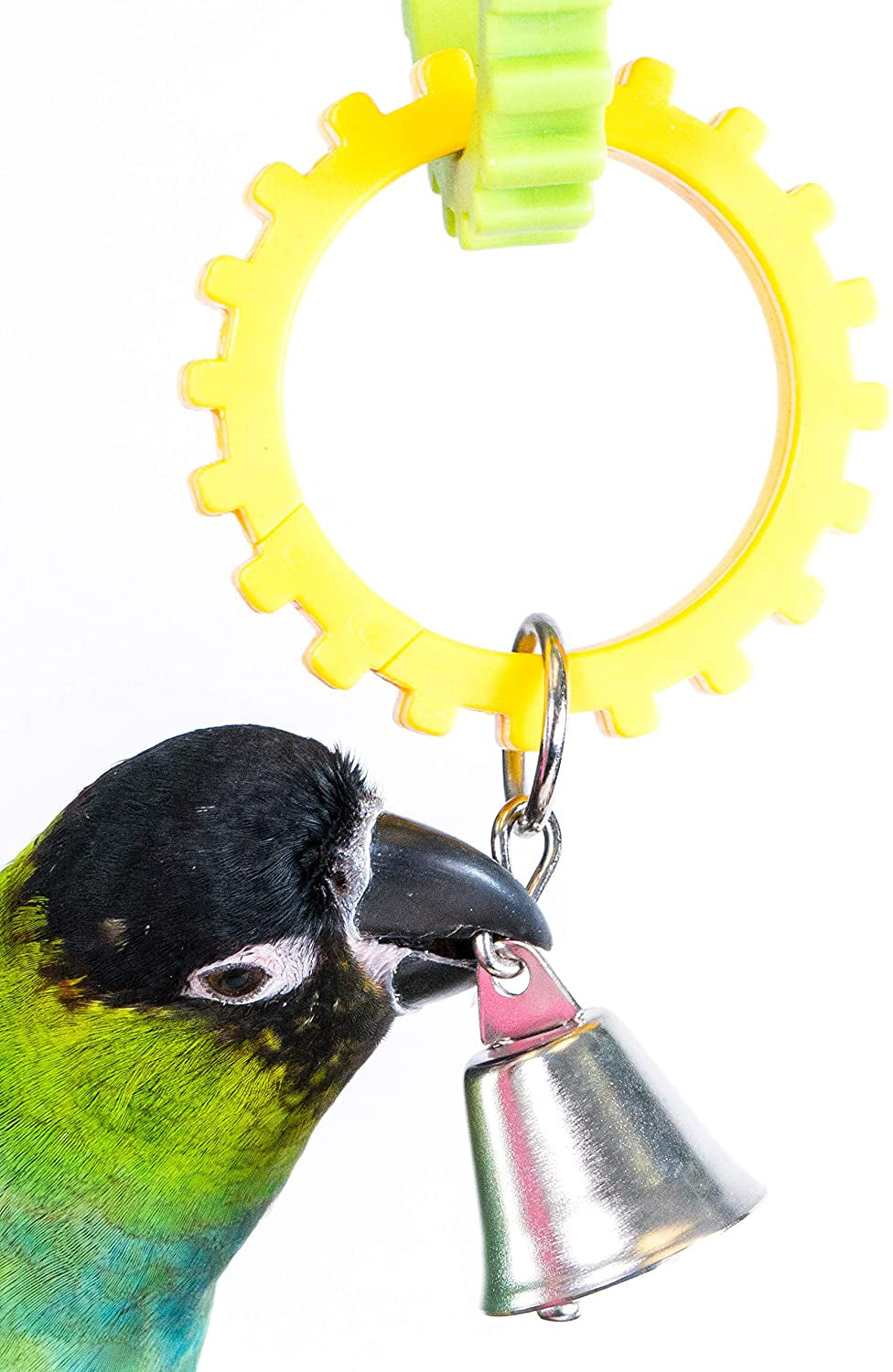 Penn Plax Gear Rings Plastic Bird Toy