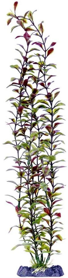 Penn Plax Sinkers Blooming Ludwigia Aquarium Plant Red