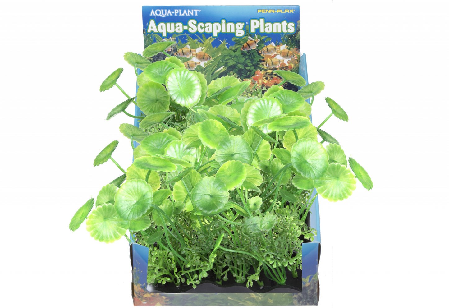 Penn Plax Pennywort Bunch Plant Medium