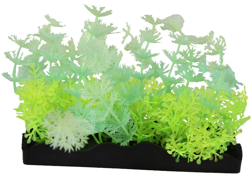 Penn Plax Aqua-Scaping Green Glow Bunch Plant