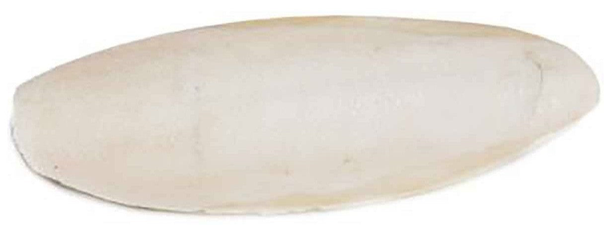 Prevue Cuttlebone Birdie Basics Large 6" Long