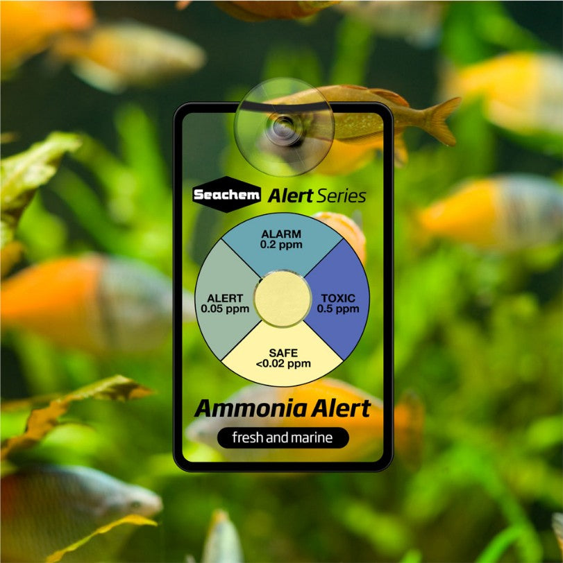 Seachem Ammonia Alert Sensor for Fresh and Saltwater Aquariums