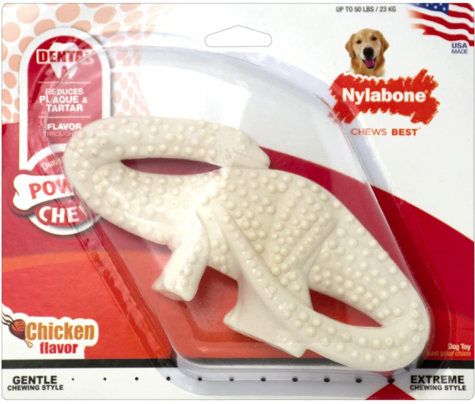 Nylabone Dinosaur Dental Dog Chew Chicken Flavor