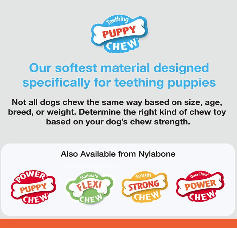 Nylabone Puppy Chew Teething Keys Toy