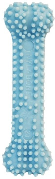 Nylabone Puppy Chew Dental Bone Blue