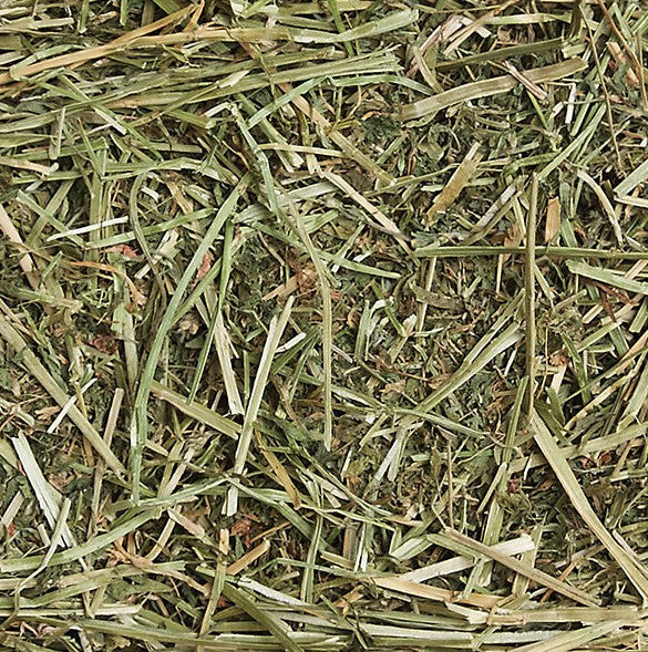 Sunseed SunSations Natural Alfalfa Hay