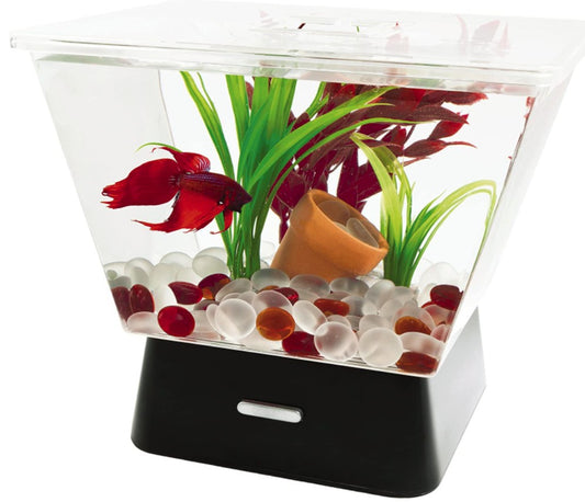 Tetra LED Betta Tank with Base Lighting 1 Gallon