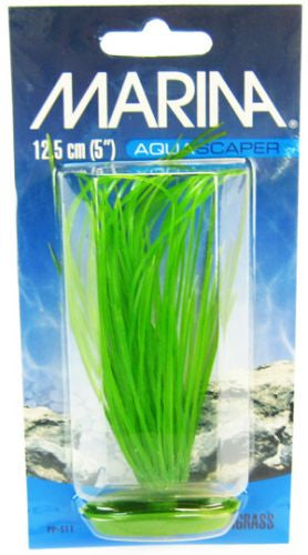 Marina Hairgrass Aquarium Plants